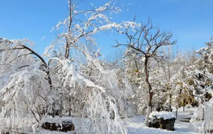 2022年南京过年下雪吗-南京春节期间天气怎么样