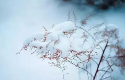 2021年大雪是在冬天第几个节气-2021年大雪节气是哪一天