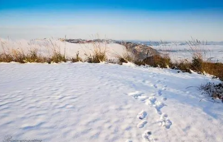 沈阳今年冬天雪多吗2022-沈阳冬天温度一般多少