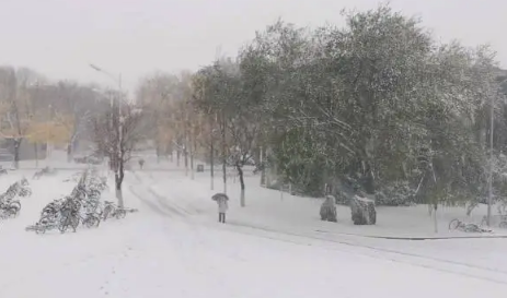 内蒙古雪后什么时候可以通车11月份-内蒙古下雪高速封多久