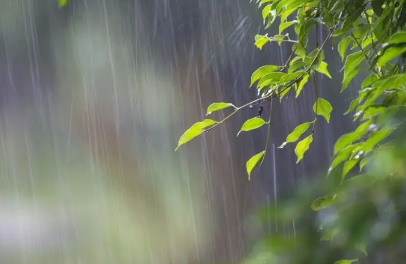 2022年雨水节气降雨多吗-雨水节气可以种地吗