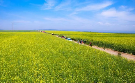 今年夏天2022年高温时间长吗-2020年夏季高温天气大概有几天