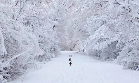 2022年2月初是数九的几九-2022年2月初天气怎么样