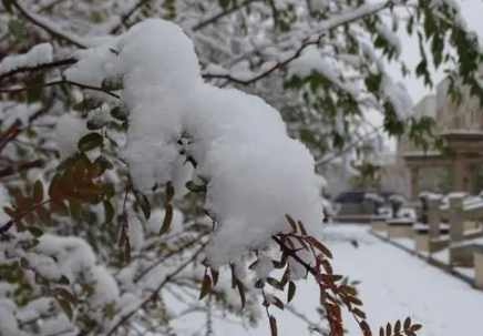 下雪后天气会变暖吗2022-冬季下雪后天气是变暖还是变冷