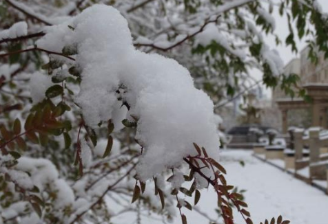 大暴雪天气能不能上高速-下雪了高速路还能走吗