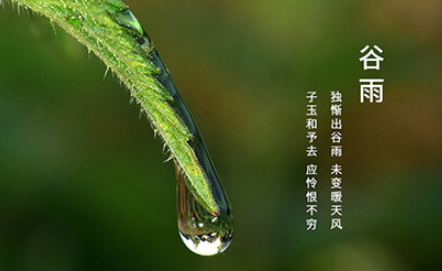 谷雨这天可以动针线吗-谷雨这天可不可以动针线