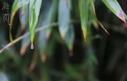 舟山梅雨季节是什么时间2022-​舟山梅雨季节持续多久