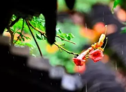 2022年北方有梅雨季节吗-南方叫梅雨北方叫什么