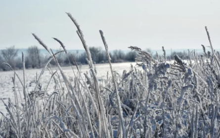 小雪节气打雷有什么说法2021-小雪节气打雷好吗