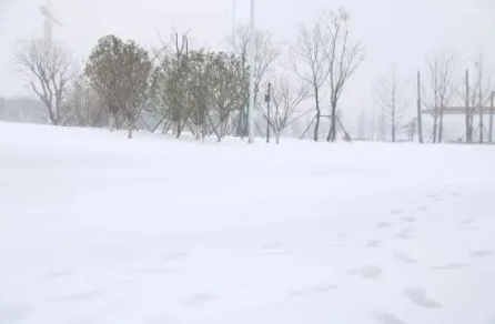 快递会因为暴雪天气停运吗-暴雪快递会不会有延迟