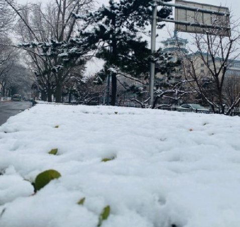 北京今夜有大雪局地暴雪吗-11月北京下雪了吗2021