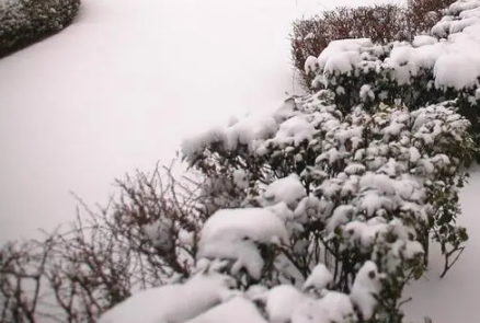 2021大雪节气北方会下大雪吗-大雪节气北方天气怎么样