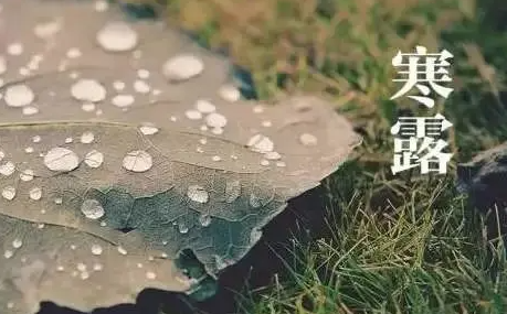 寒露的时候北方树木落叶了吗-寒露的时候北方天气怎么样