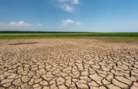 2022年上半年是干还是旱-2022年上半年降雨量比2021年多吗