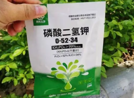 怎样用磷酸二氢钾给花施肥-磷酸二氢钾浇花比例怎样配