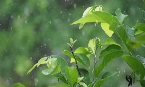 今年宁波什么时候出梅2022-宁波每年的梅雨季节是一样的吗