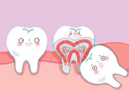为什么不可以在姨妈期间拔智齿-姨妈期拔智齿会怎么样