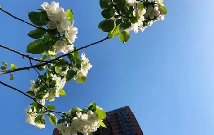 2022年北京清明节会下雨吗-北京清明节天气怎么样