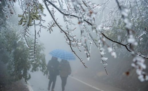 2021年12月有寒潮吗-今年12月份有冷空气吗