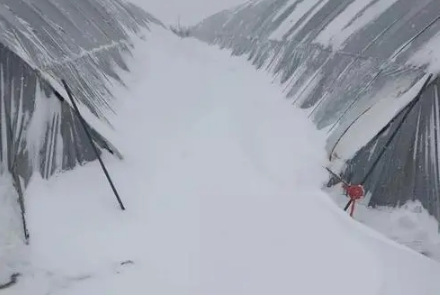 东北暴雪会对火车有影响吗-东北下大雪火车会不会停运