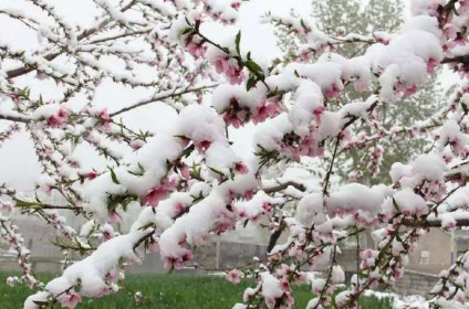 2022年2月份下雪正常吗-​2月份下雪的地方有哪些