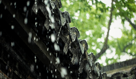 2022年广州二月份雨水多吗-广州什么时候雨水最多