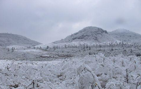 2008年雪灾多恐怖-2008大雪灾诡异的原因