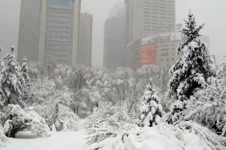 快递会因为暴雪天气停运吗-暴雪快递会不会有延迟