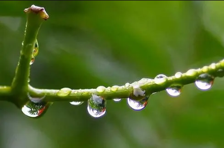 2022年9月是梅雨季节吗-梅雨季节一般是几月