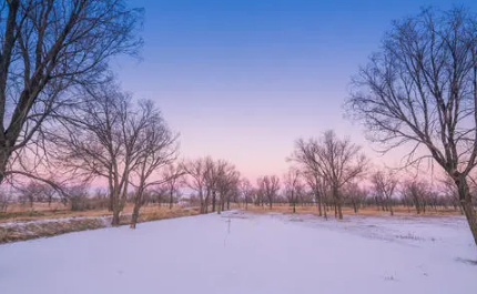 小雪大雪冷还是小寒大寒冷-一年中最冷的时候是什么节气