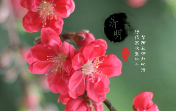 清明节先上坟还是在家祭拜-清明节先在家供奉后扫墓可以吗