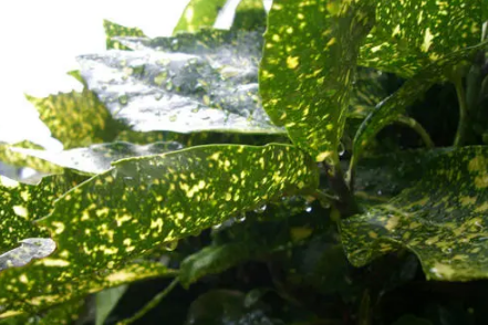 2022年上海梅雨季节热吗-上海梅雨季节很难受吗