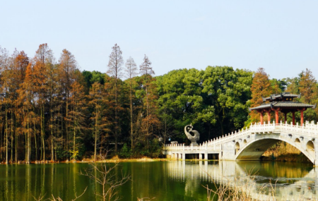 东湖落雁岛和落雁景区是一个地方吗-东湖落雁岛风景区门票多少钱