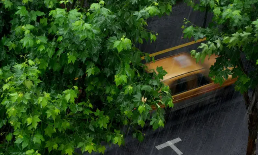 人工降雨的水可以喝吗-人工降雨为啥不是晚上下