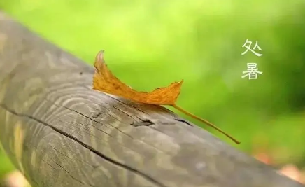 2022处暑这天下雨好还是不下雨好-处暑那天会下雨吗