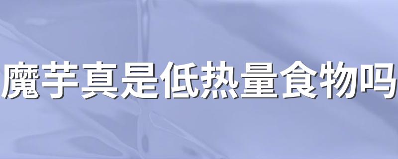 魔芋真是低热量食物吗 魔芋丝和魔芋块的区别