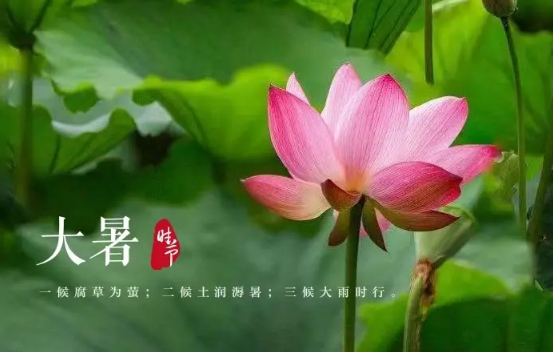 大暑节气到立秋节气中间还热吗-大暑到立秋中间都算大暑吗