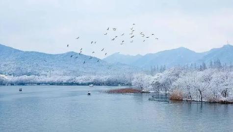 2023年冬天雪大吗-2023年冬天下雪多吗