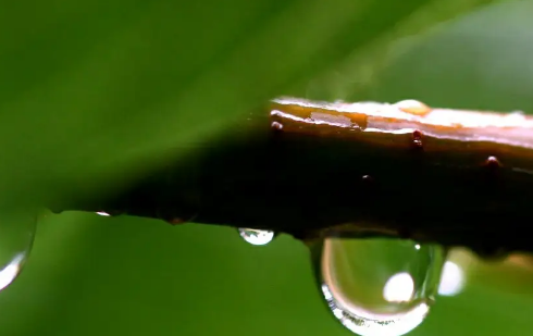 今天下雨是人工降雨吗-怎么判断是不是人工降雨