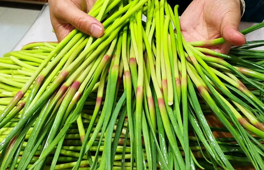 蒜苔放冰箱不小心冻了还能吃吗