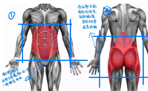 日常生活中需要收紧核心吗-收紧核心应该收紧哪个部位