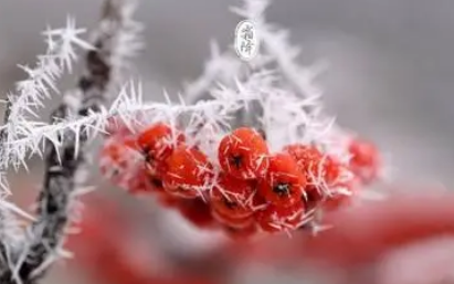 今年霜降能修坟吗-霜降立碑好不好