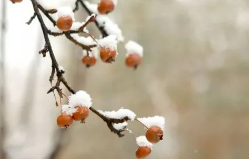 2022冬至下大雪好吗-冬至下雪好还是不下雪好