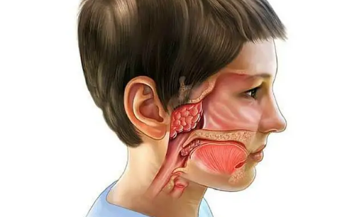 切除腺样体必须要切除扁桃体吗-切除腺样体后悔到家了