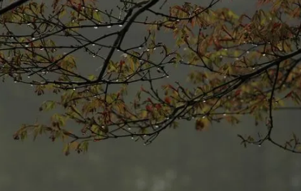 2022年7月半会下雨吗-2022年7月半天气怎么样