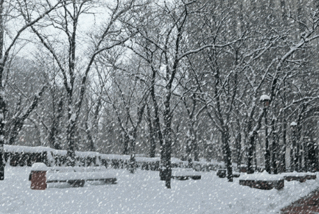 ​2022年武汉11月会有雪吗-武汉几月份才能见到雪