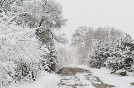 2023年冬天的雪多不多-2023年冬天什么时候有雪