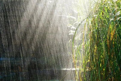 2022夏至下雨好还是天晴好-夏至下雨预示着什么