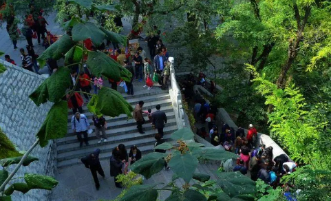 重阳节登高是早上还是晚上-重阳节登高是指爬山吗