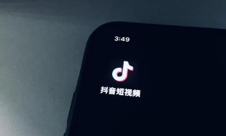 抖音再爱就不礼貌了啥梗什么意思-再爱就不礼貌了出自哪